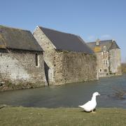 5.The old barn.